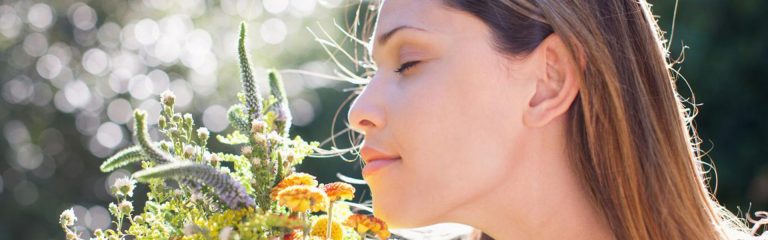 Smell and sight substitution knowhow lead to new realities