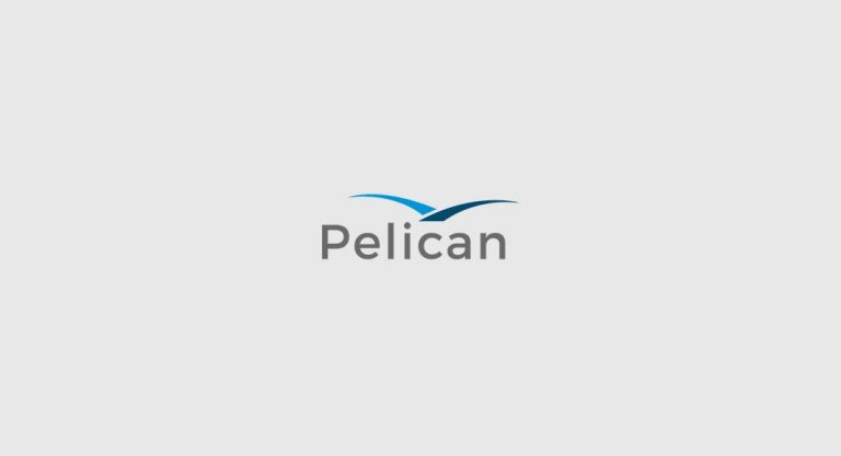 InnovationHub by Pelican: a new-thrust- integrated platform for bankers, ready to innovate